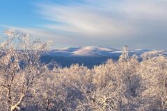 Landstigning